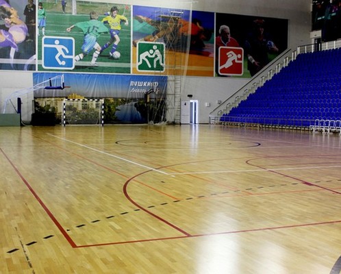 Дворец спорта в пушкино